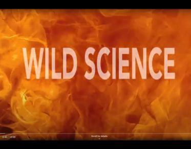 Title screen for Wilderness and Fire video/