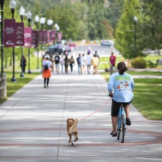 A dog and biker make their way across campus.