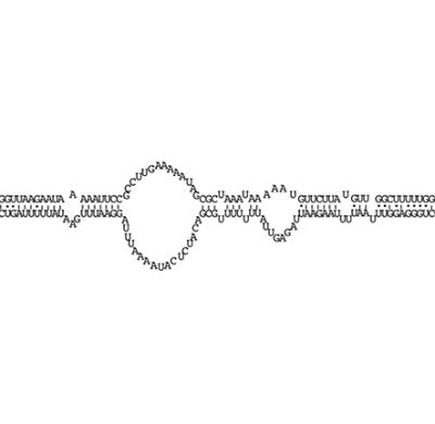 DNA and RNA Biochemistry