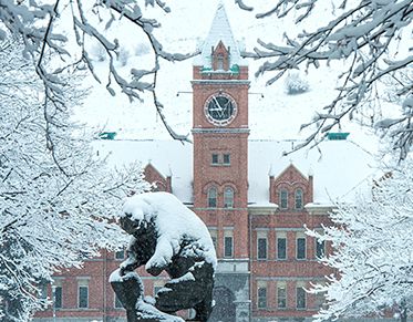 Grizzly statue and University of Main Hall in snow