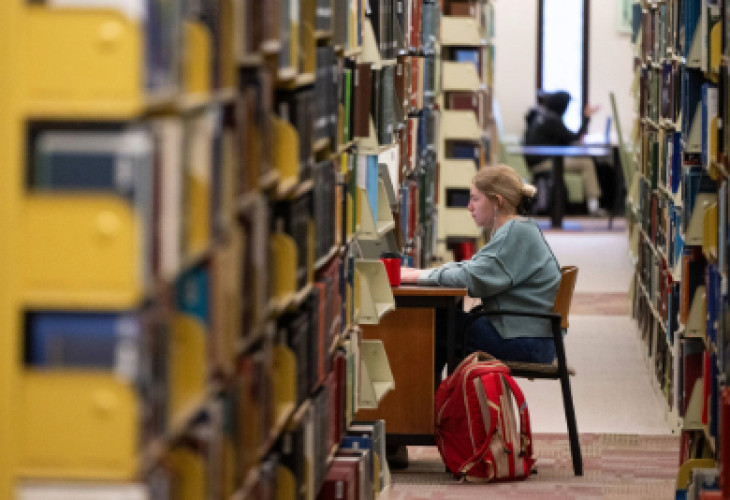 Mansfield Library 2