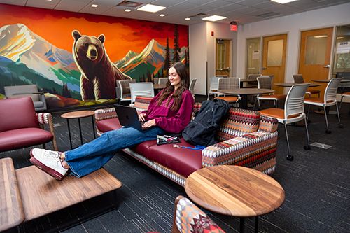 A student works in the new DEN in the College of Business