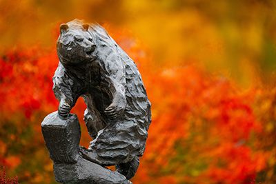 Grizzly Statue on UM campus