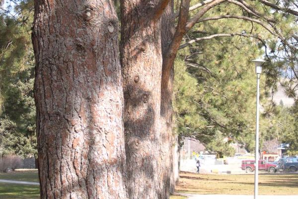 Name marker for Katherine Byrne