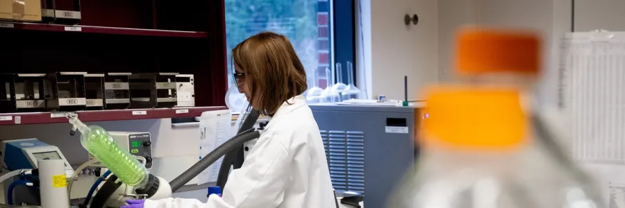 A UM doctoral candidate conducting research in a lab on the University of Montana campus.