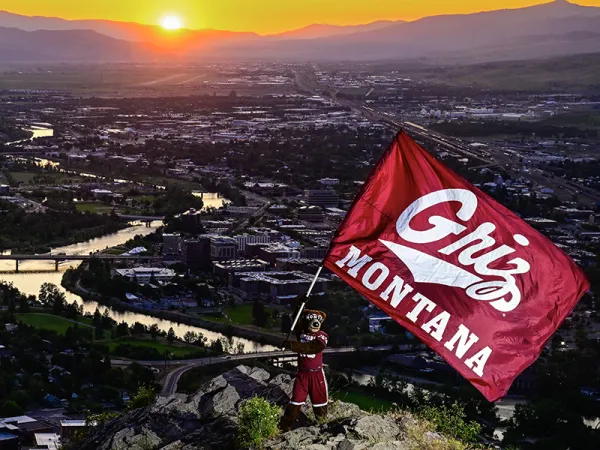 University of Montana's grizzly bear mascot, Monte waves a Montana Griz flag overlooking the Missoula valley at sunset.