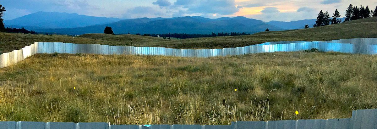 fence surrounding a portion of grassland for scientific research with mountains and a setting sun in the background