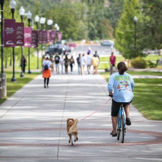 A dog and biker make their way across campus.