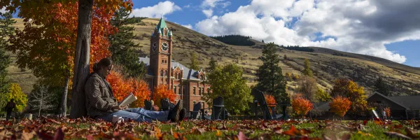 A student reads near Main Hall surrounded by autumn leaves.