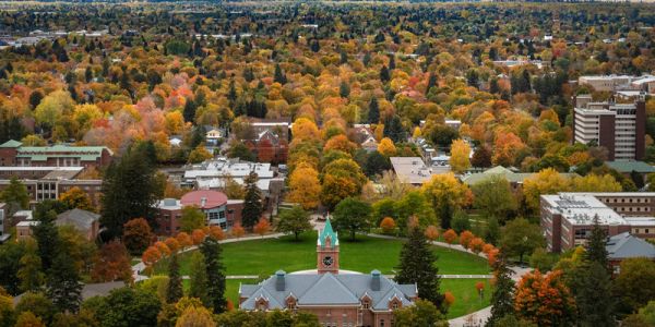 a view of campus in the fall