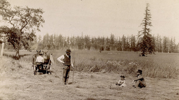 Working the field