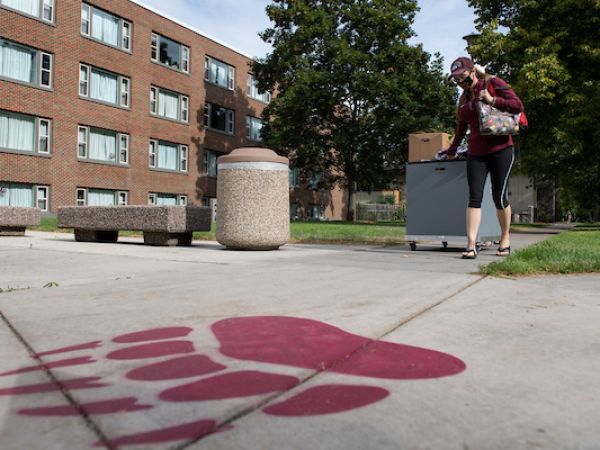 sidewalk with painted griz paw