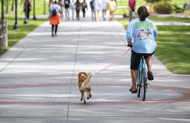 A dog and biker make their way across campus.