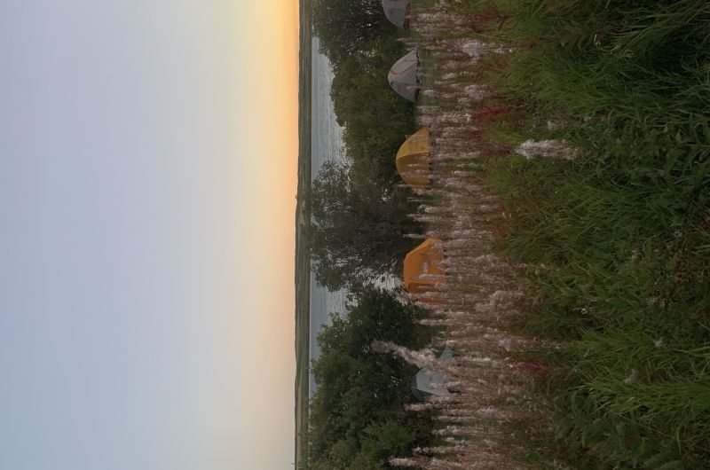 beautiful landscape