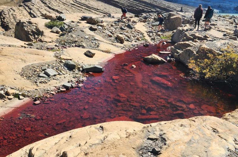 Red stream in Glacier