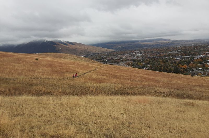 Landscape near Homestead