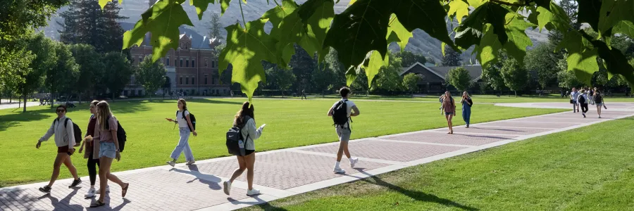 Students walk across a grassy, sunny campus.
