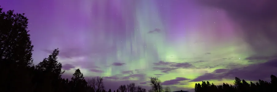 night sky with purple and green streaks of the northern lights across them