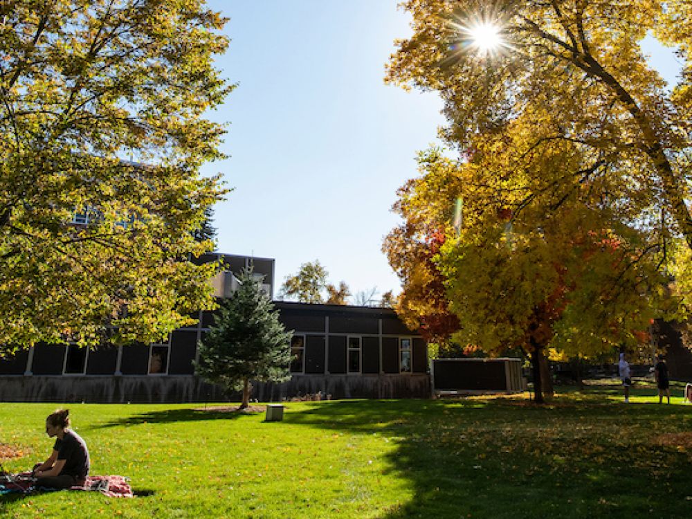 A student studying under the shade of a tree at UM