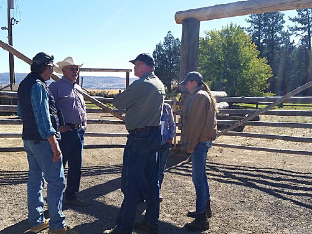 Five ranchers stand in a circle talking 