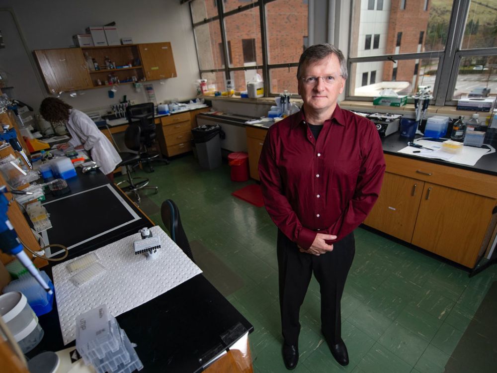 Researcher Jay Evans stands in his UM lab