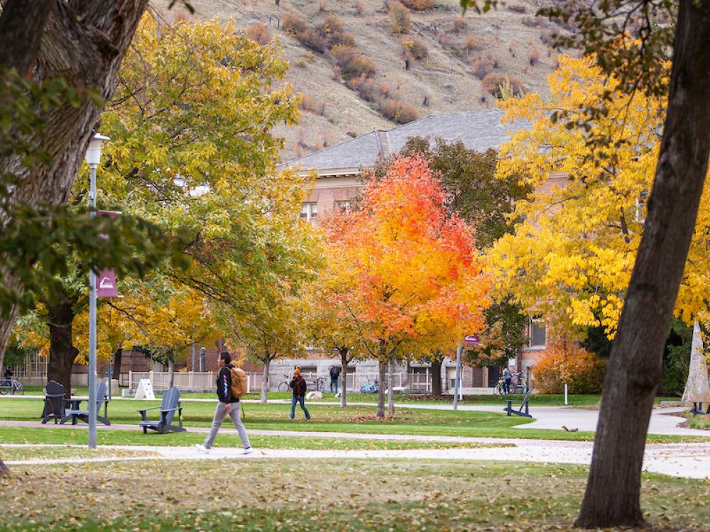 Students walk across the Oval amid the fall foliage on campus