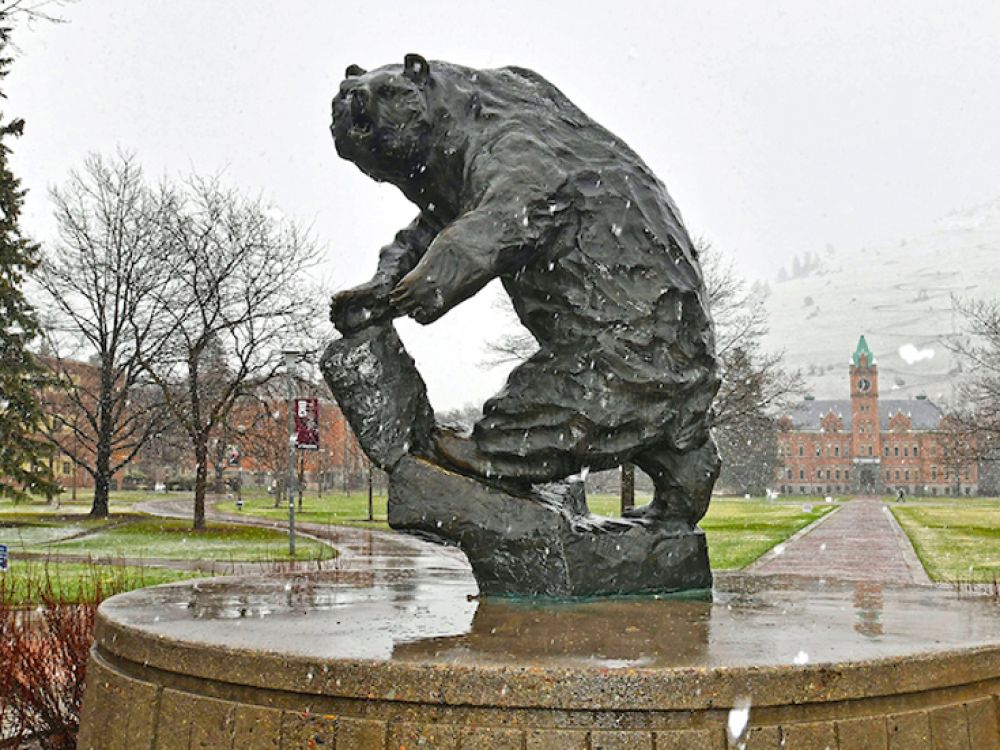 A light spring snow falls on the Grizzly Bear statue at UM