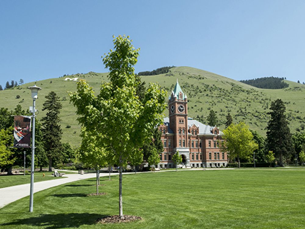An image of Main Hall