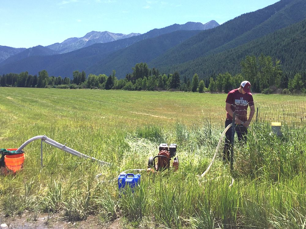 A student works with research gear outside Glacier National Park.