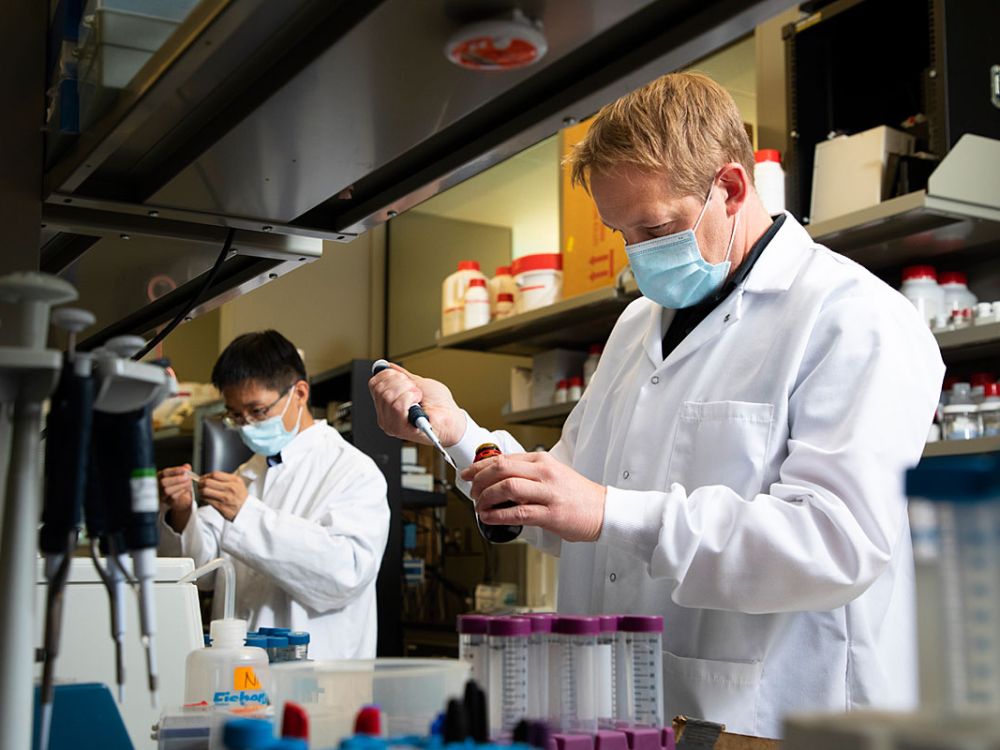 A professor and student work in a UM neuroscience lab.