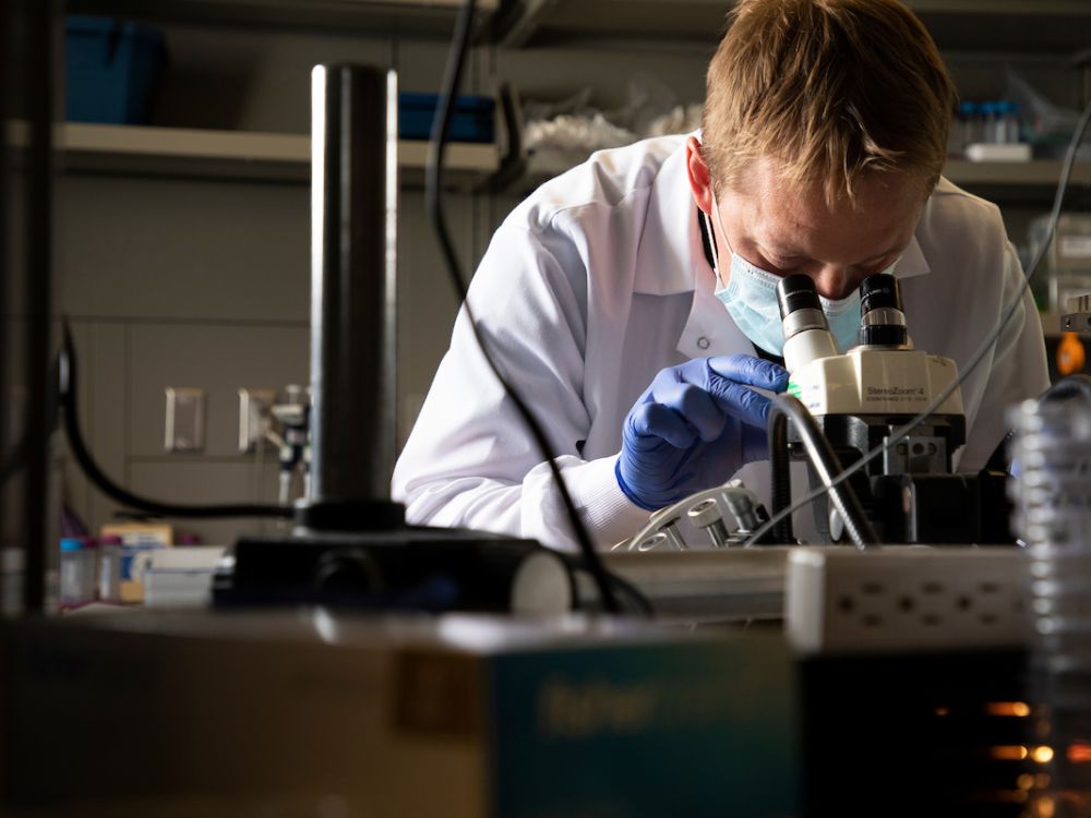 Photo of researcher at microscope