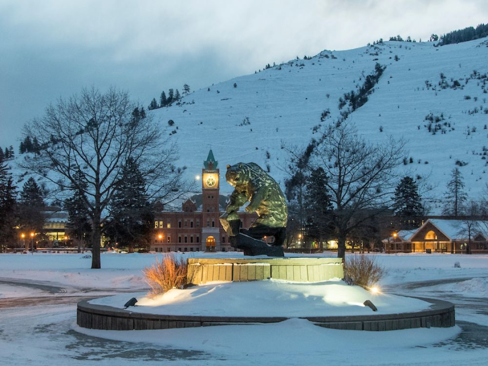 Picture of Oval covered in snow