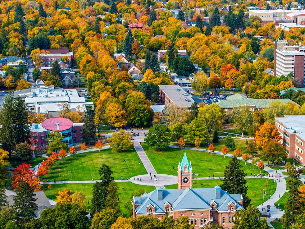 Photo of Oval in fall