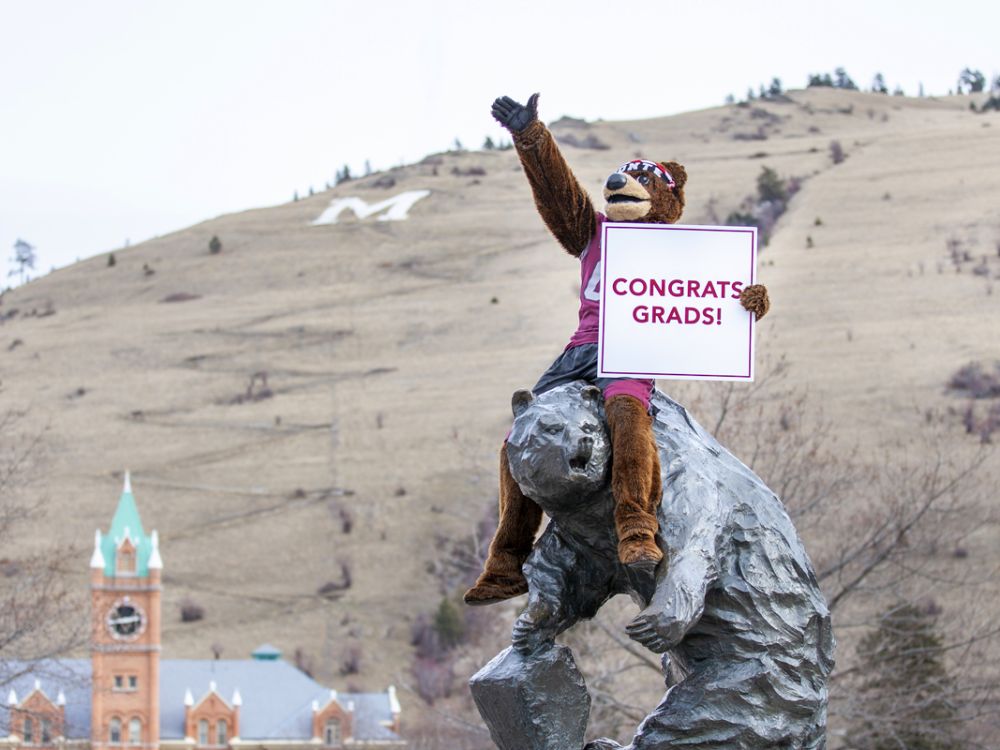 A picture of Monte the mascot on the Griz Statue holding a Congratulations Grads sign.