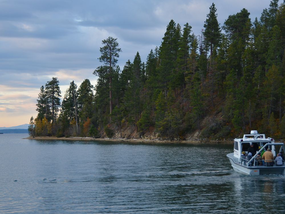 Photo of Flathead Lake