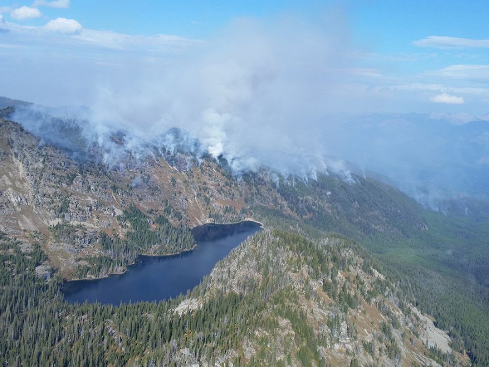 Image of a forest fire