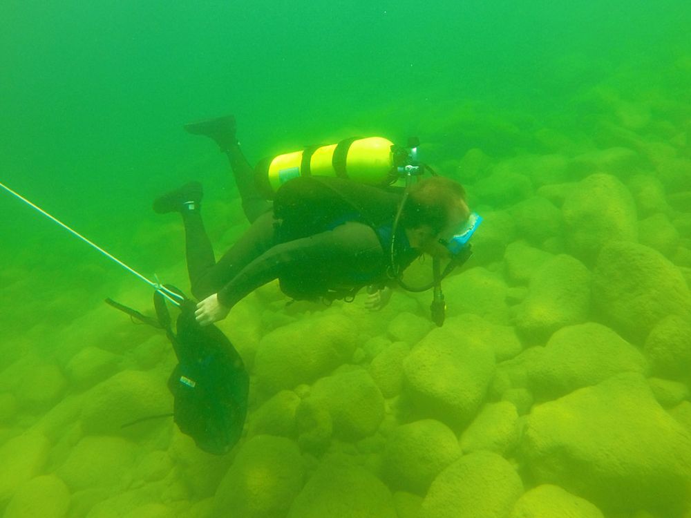 Photo of diver in Flathead Lake