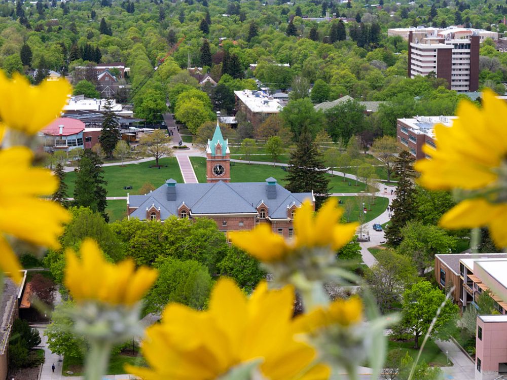 A picture of UM's Main Hall framed by spring flowers.