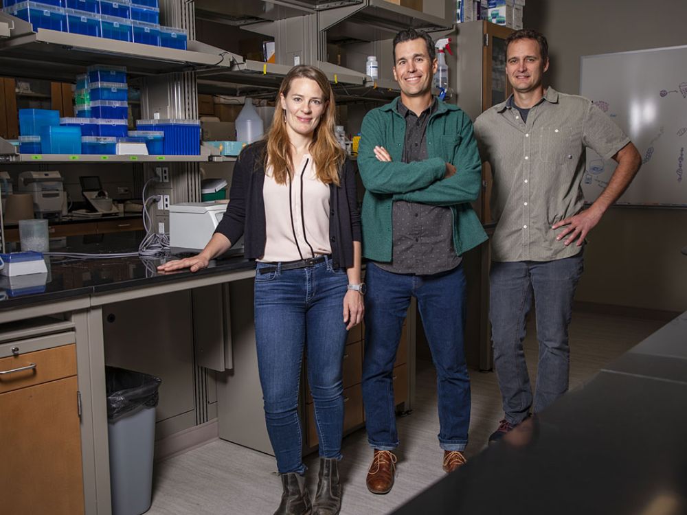 A picture of Rena Schweizer, Zac Cheviron and Jeff Good in a UM lab.