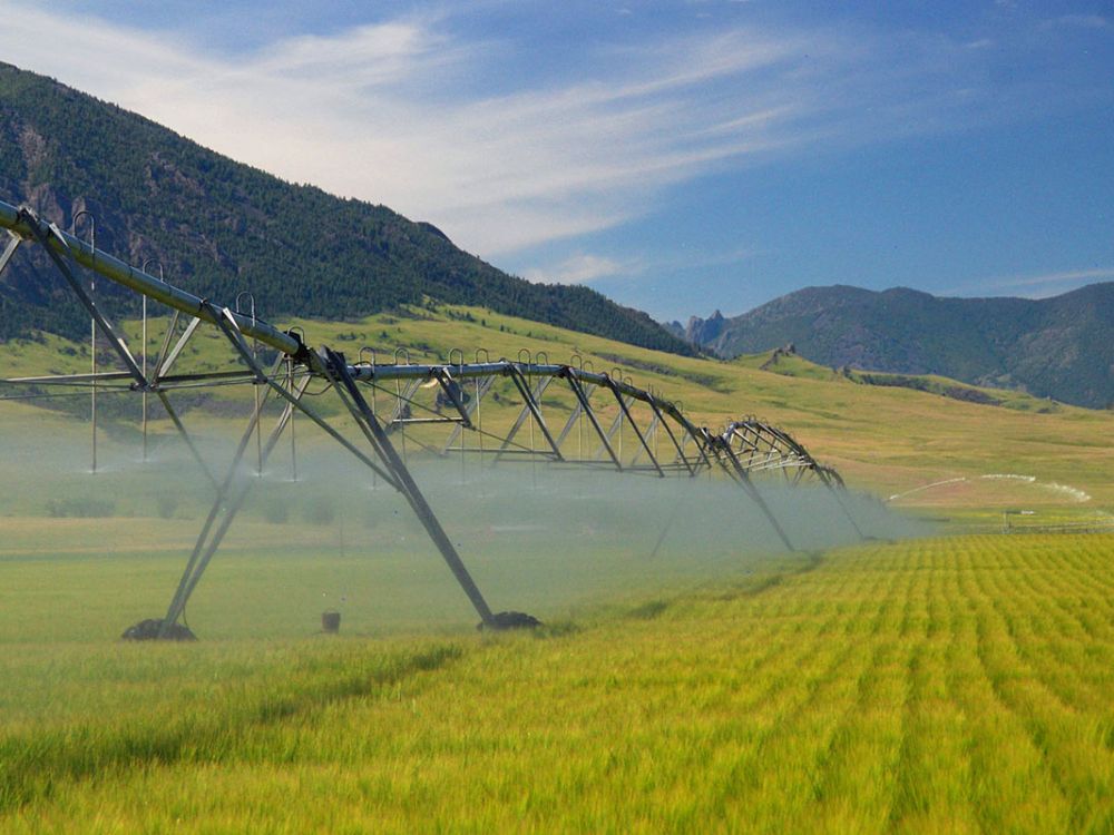 An irrigated farm near the Missouri River.
