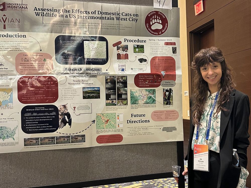 Jay Schutze presents research on urban cats at a conference.