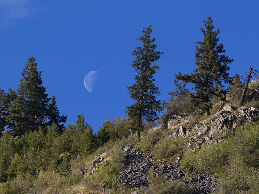 A day moon rises into blue sky over Mount Sentinel near campus
