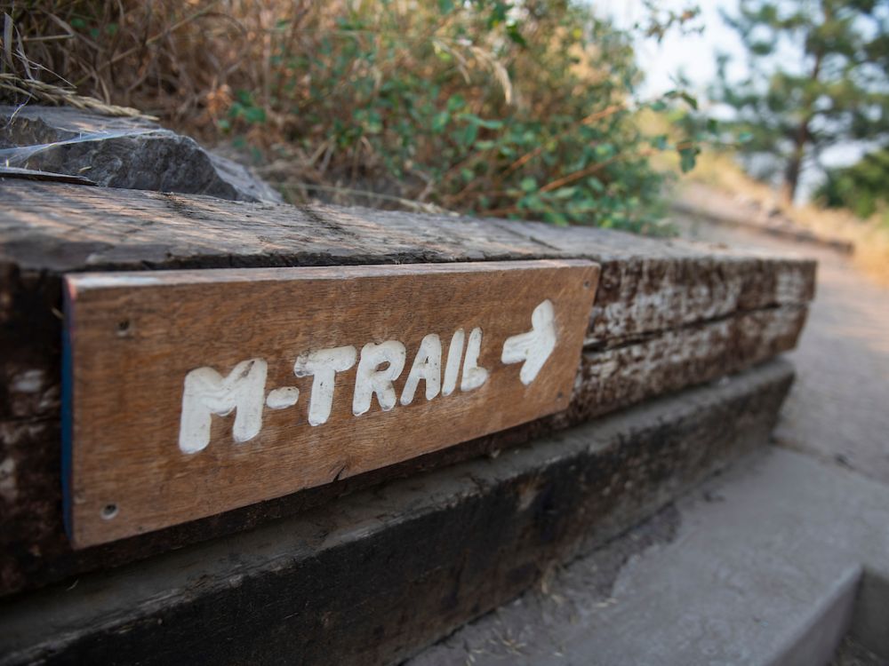 A sign at the base of the M Trail