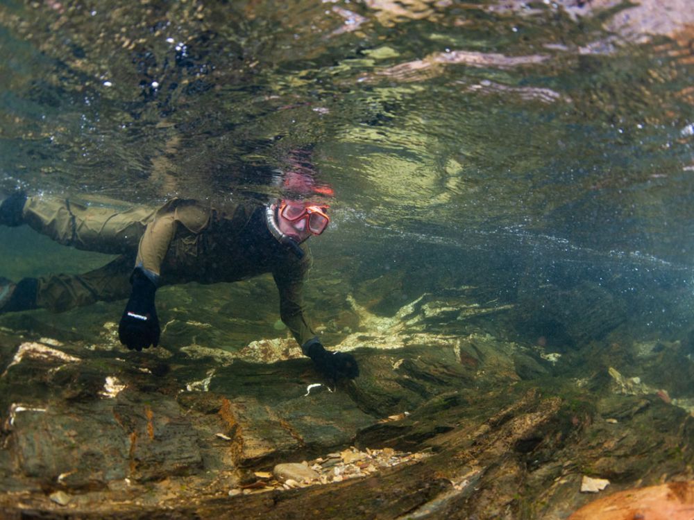 UM student Jacob Steinle snorkels Rattlesnake Creek near Missoula.