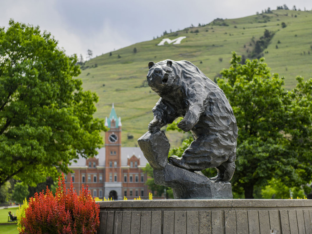 A picture of the Grizzly Bear statue with Main Hall in the background at UM.