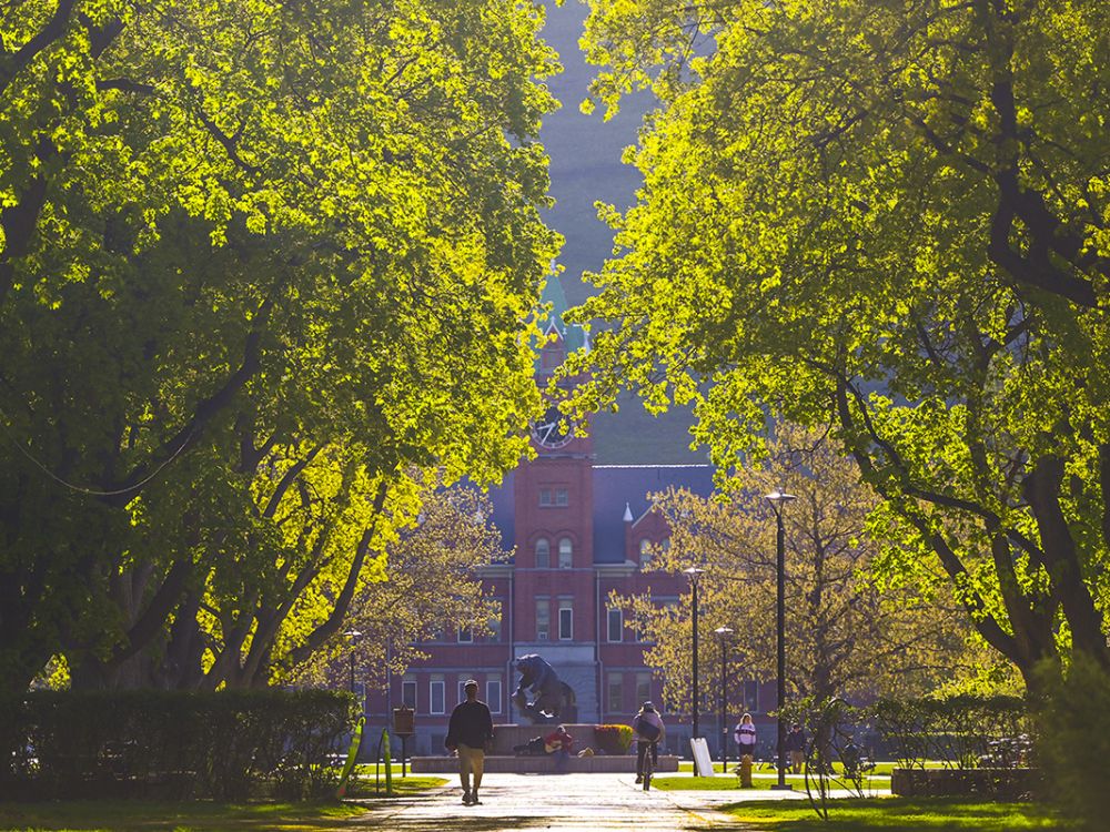 A picture of UM's Main Hall through the trees.