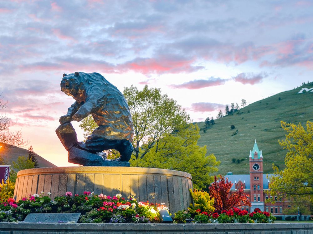 A sunrise lights up the sky behind the Grizzly Bear statue at UM.