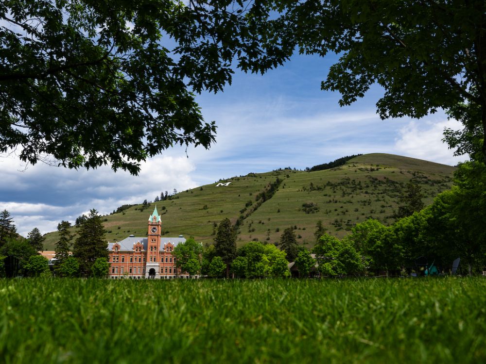 Main Hall on a sunny day