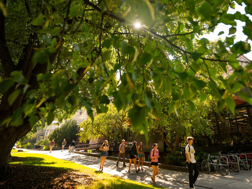 UM students walk across campus 