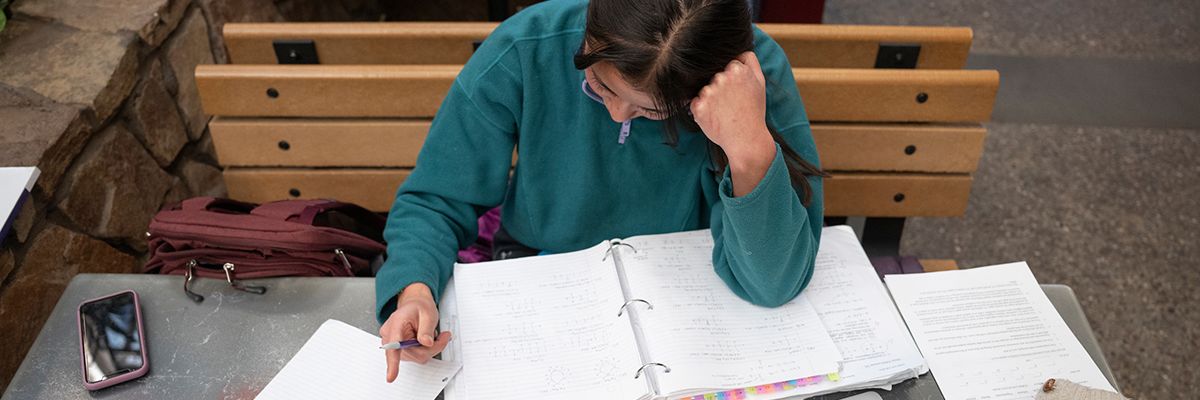 Multidisciplinary Studies Degree Programs Montana | Majors | University ...